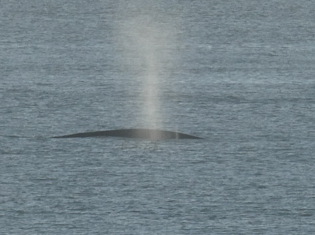 索萨利托山墙酒店主图