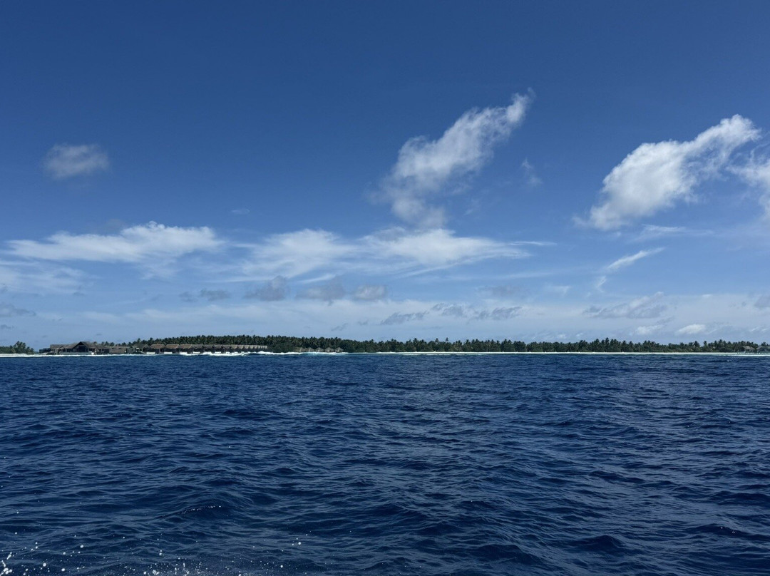ScubaCaribe Maldives景点图片