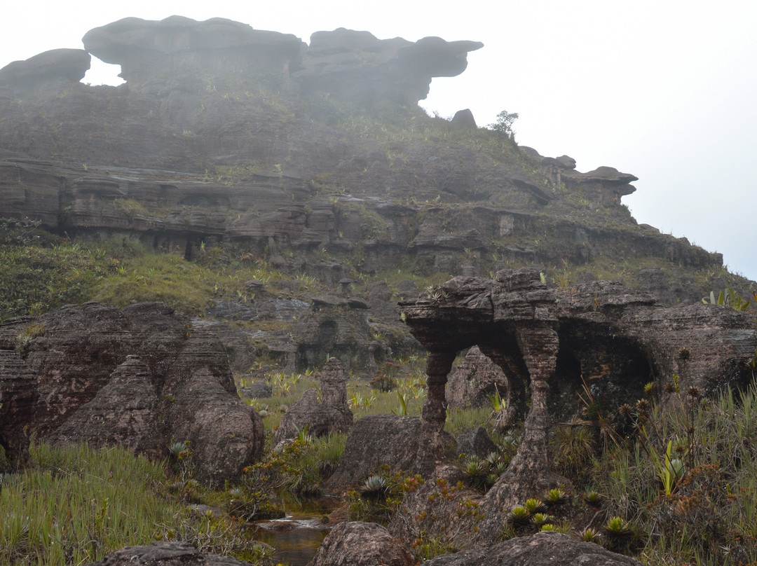 Monte Roraima-卡奈玛国家公园必去景点