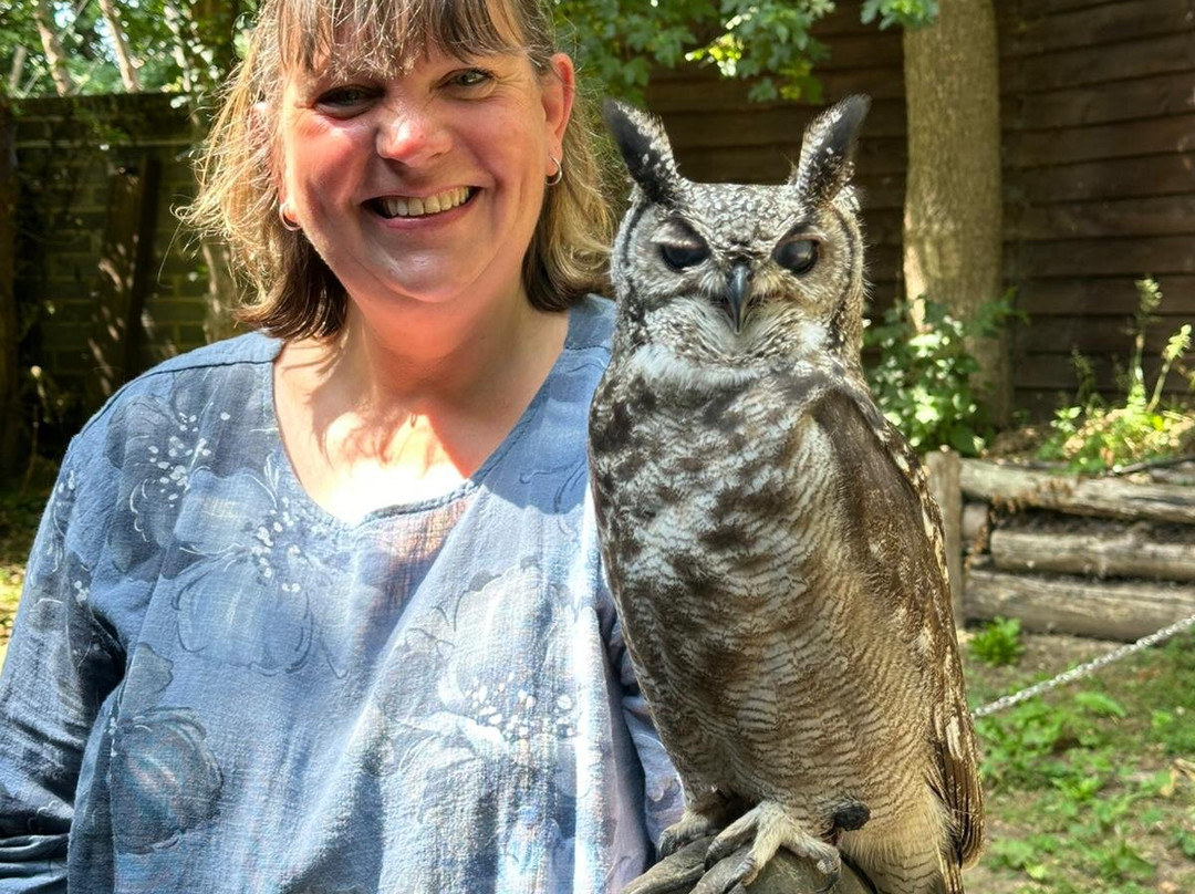 Kent Owl Academy景点图片