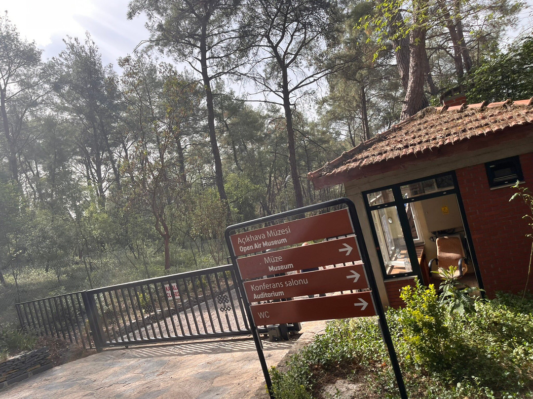 Karatepe Aslantas Acik Hava Museum景点图片