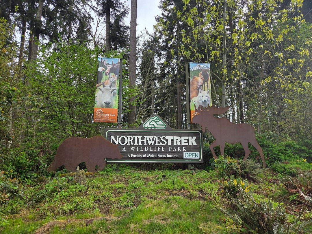 Northwest Trek Wildlife Park景点图片