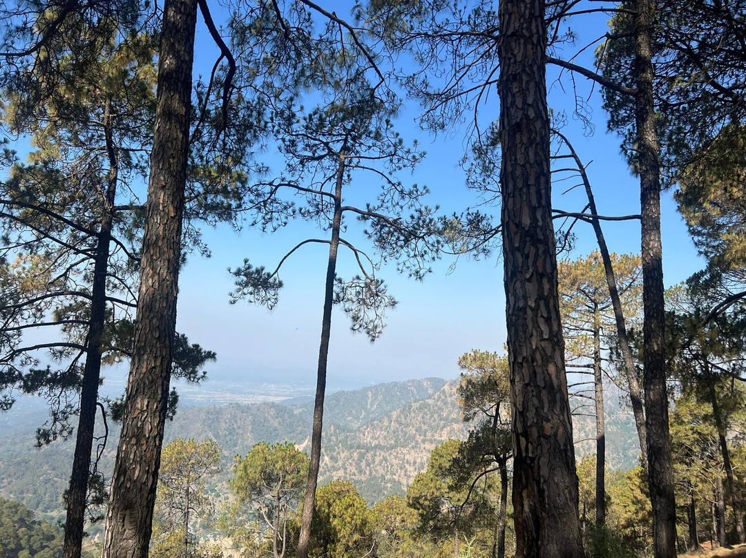 Lemon Tree Hotel Mcleodganj主图