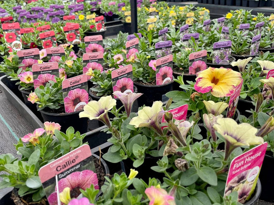 High Trees Garden Centre-East Carlton必去景点