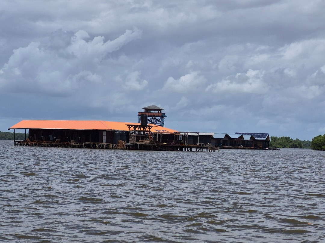 Bigi Pan-Nieuw Nickerie必去景点