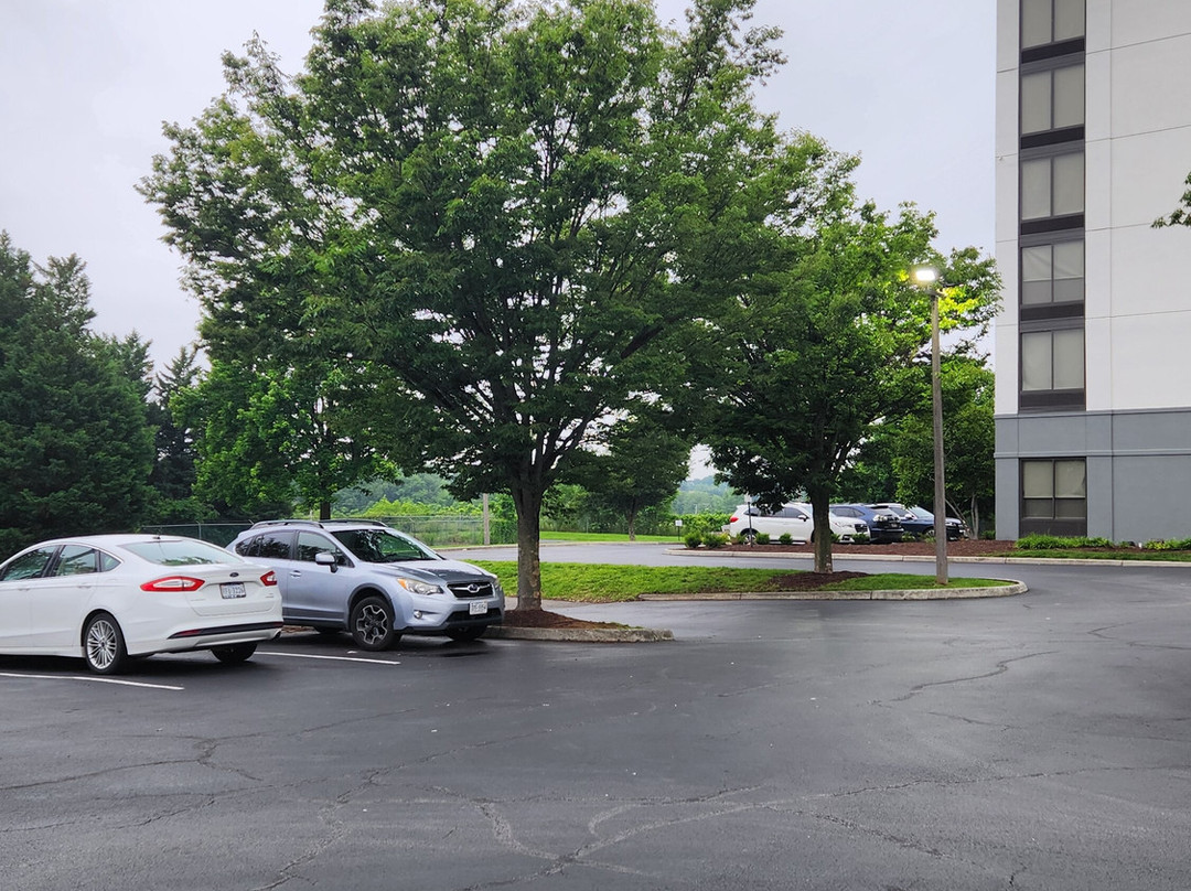 凯悦嘉轩酒店-罗阿诺克机场/山谷景购物中心主图