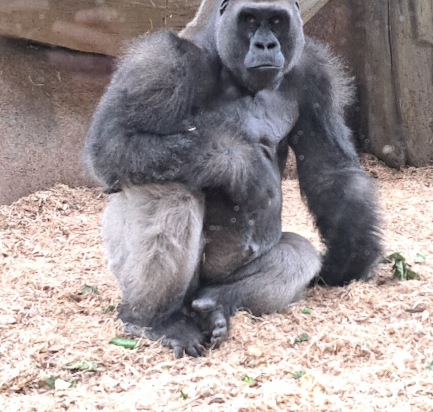 Zoo Bassin d'Arcachon景点图片