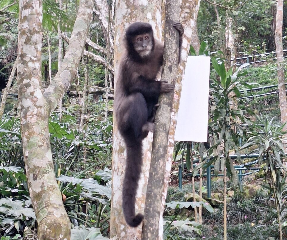 Fonte Dos Amores-Pocos de Caldas必去景点