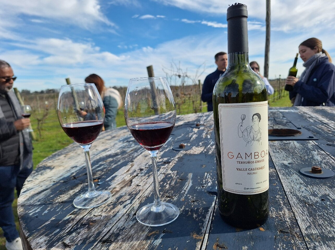 Gamboa - Viñas & Bodega-Campana必去景点