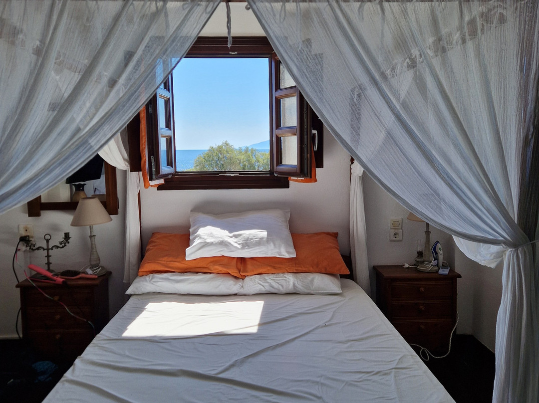 安娜传统公寓酒店主图