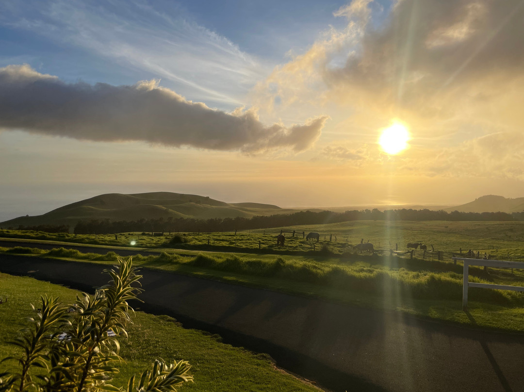 Paniolo Bbq Dinner-卡慕也拉必去景点