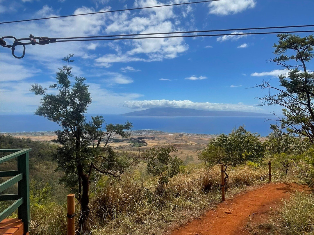 Maui Zipline Company-怀露库必去景点