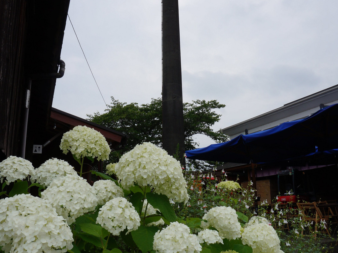 Seto Shuzo-开成町必去景点