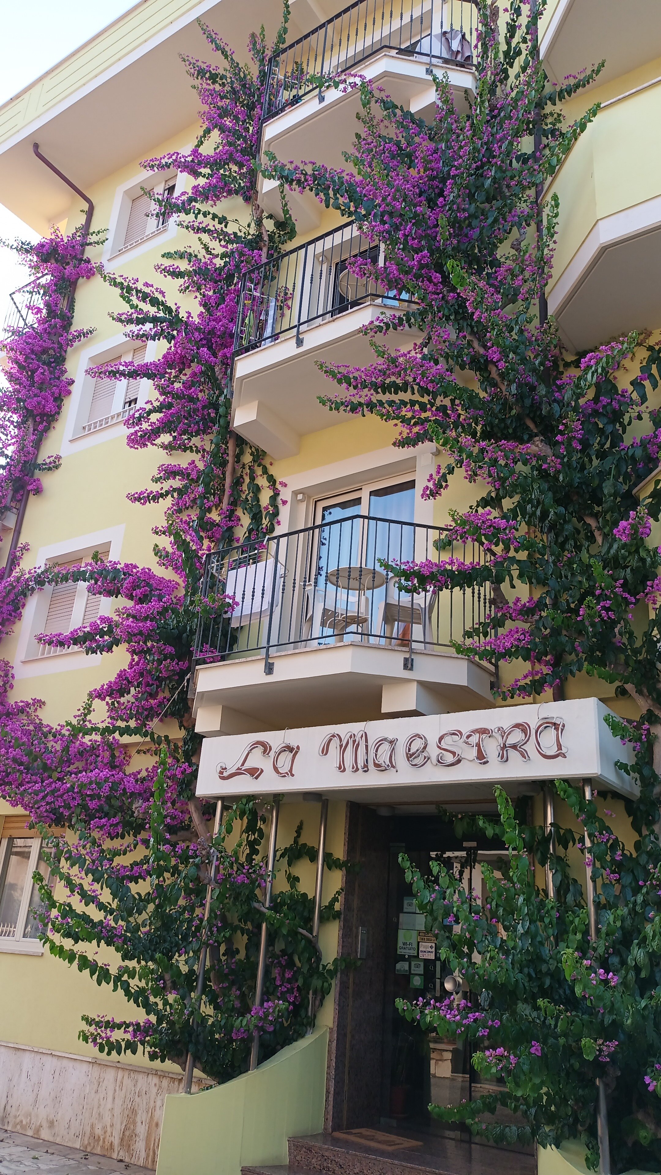 Hotel La Maestra-官方