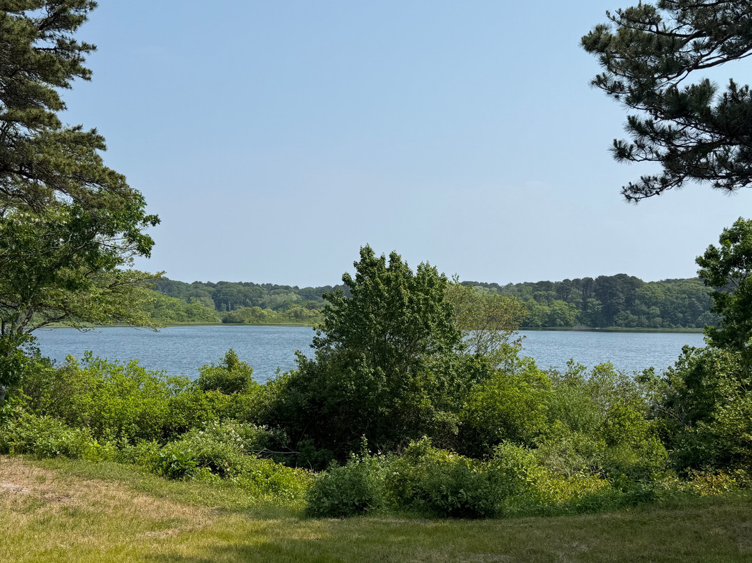 Gull Cottage Bed & Breakfast主图