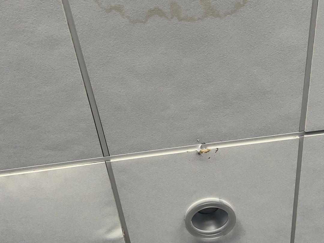 Quorn Grange Hotel主图