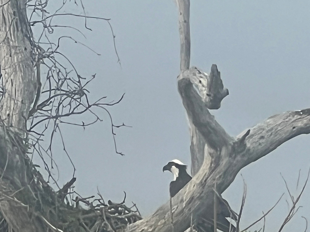 Neal Preserve-布雷登顿必去景点