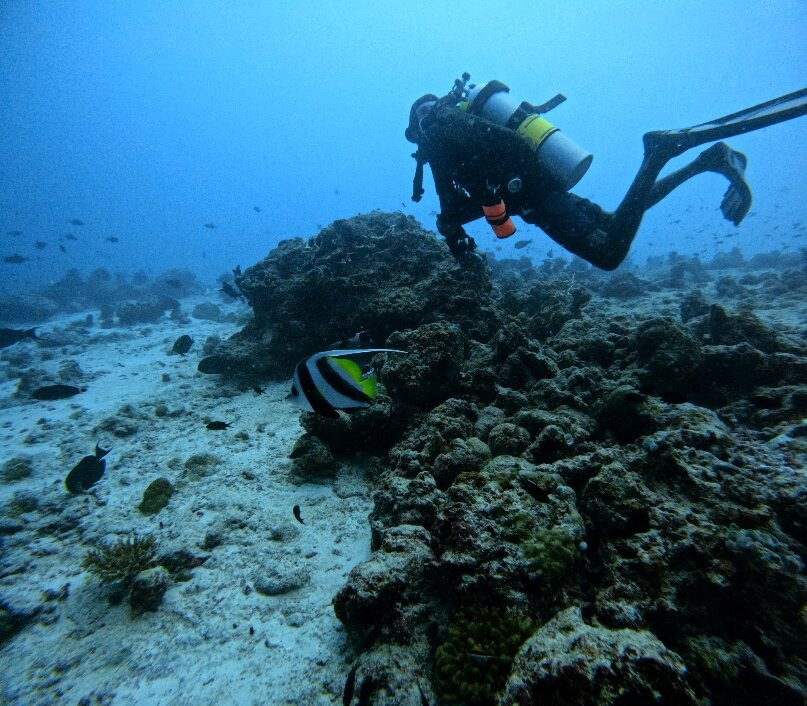 Fulidhoo Dive & Water Sports景点图片