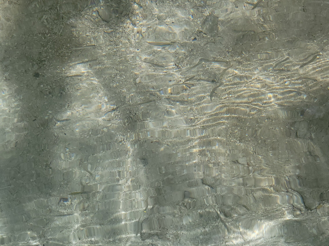 Cayo Caracoles-Lajas必去景点