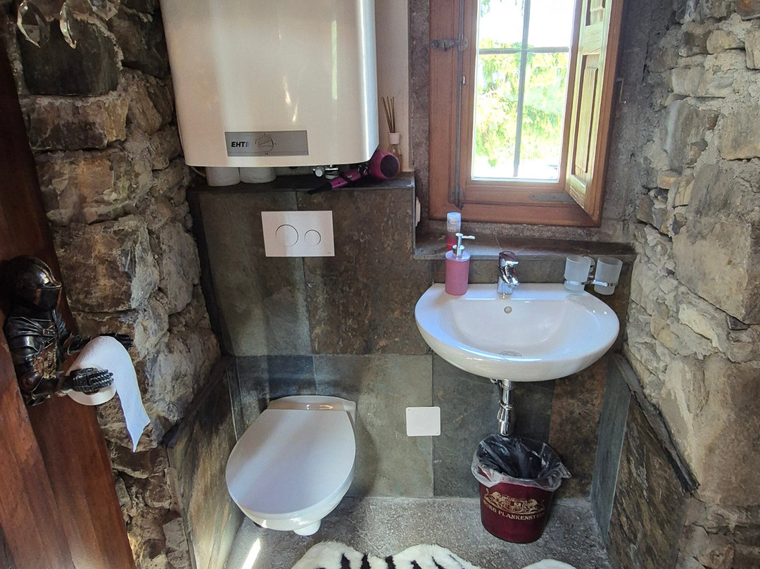 Burg Plankenstein主图