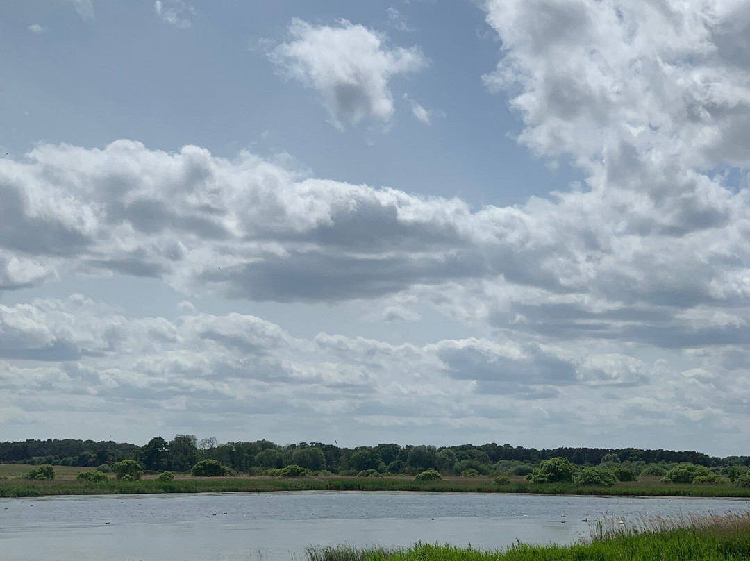 RSPB Minsmere-Westleton必去景点