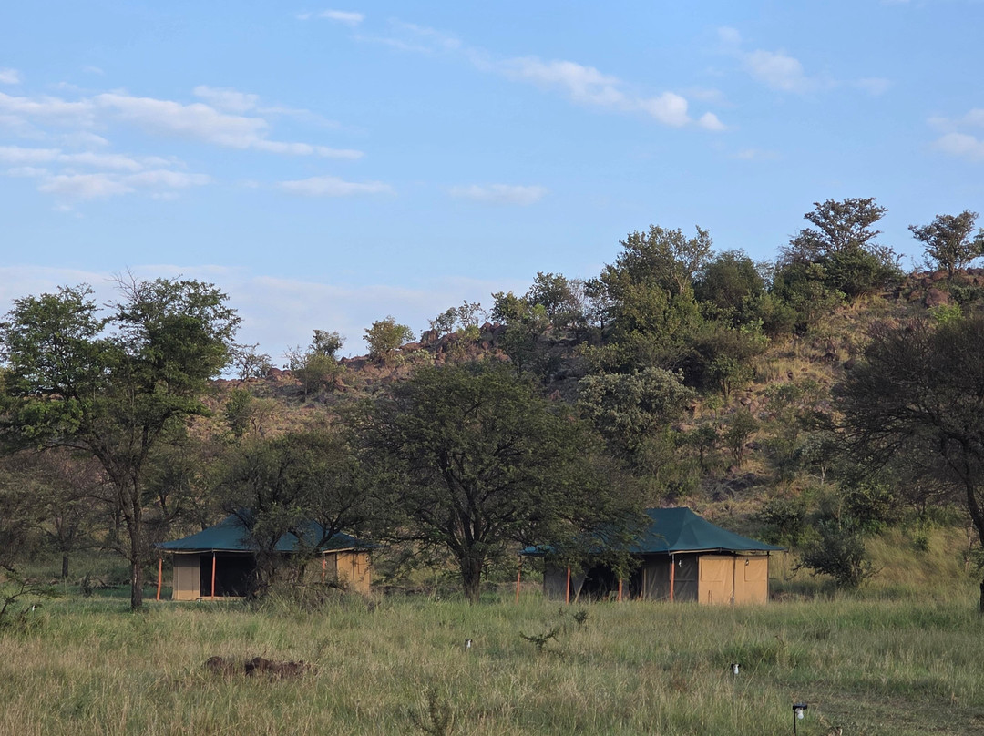 Robin Safari Camp-Seronera必去景点