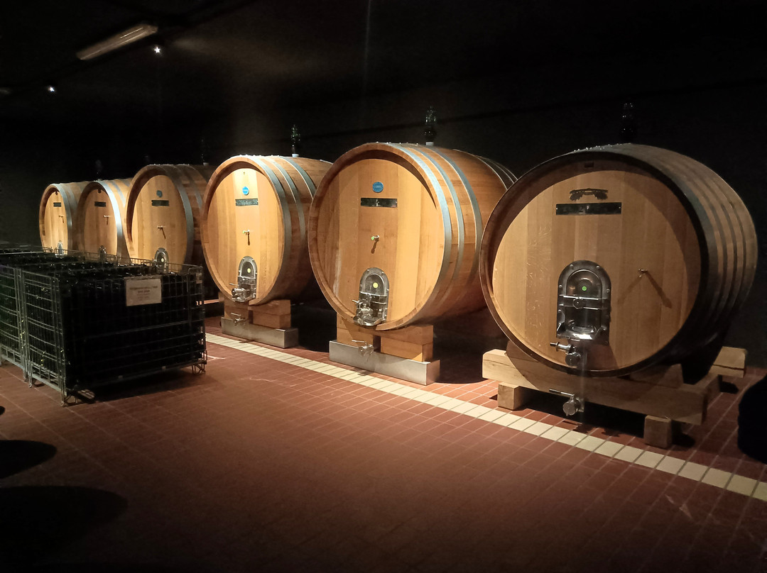 Tenuta Lungarotti-Montefalco必去景点