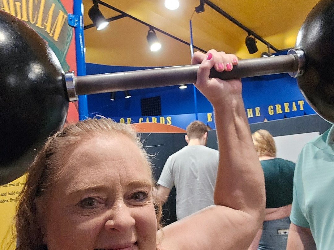 The History Museum At The Castle-阿普尔顿必去景点