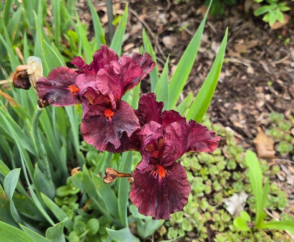 Boerner Botanical Gardens-黑尔斯科纳斯必去景点