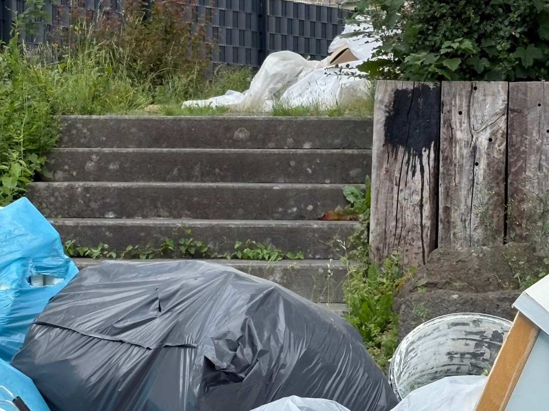 Hotel Paffhausen主图