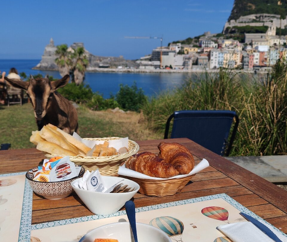 卡萨德尔皮思卡托尔酒店主图