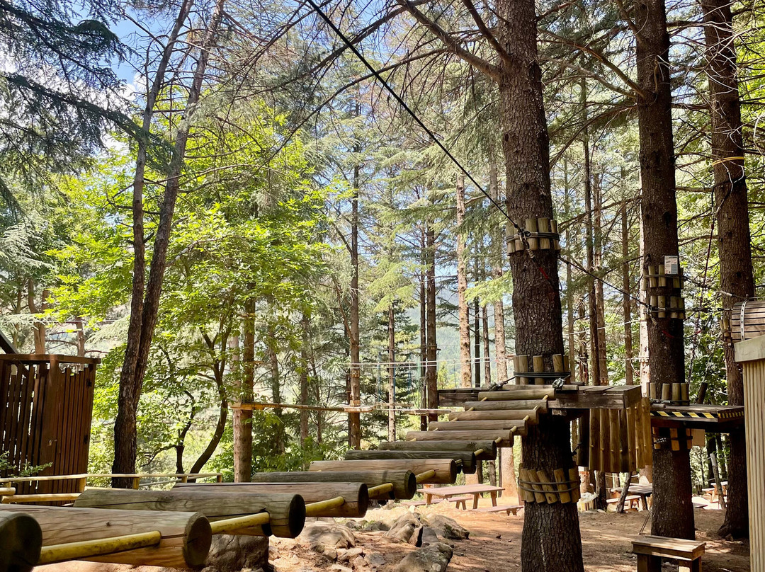 Parco Avventura Madonie景点图片