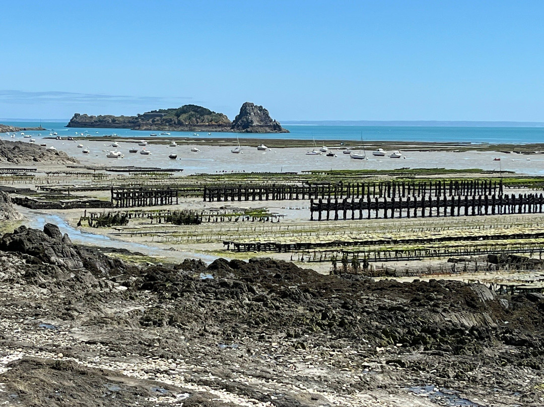 Port de le Houle-康卡勒必去景点