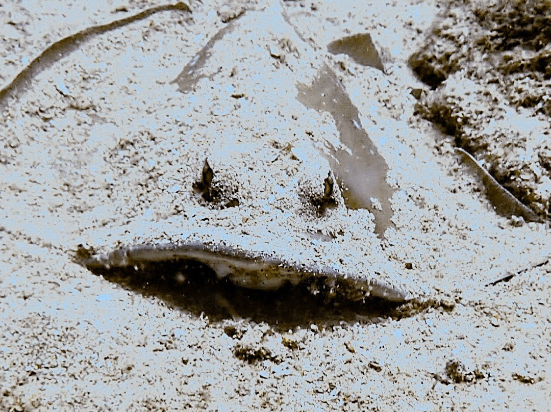 Divers Land Dive Club-乌纳瓦图纳必去景点