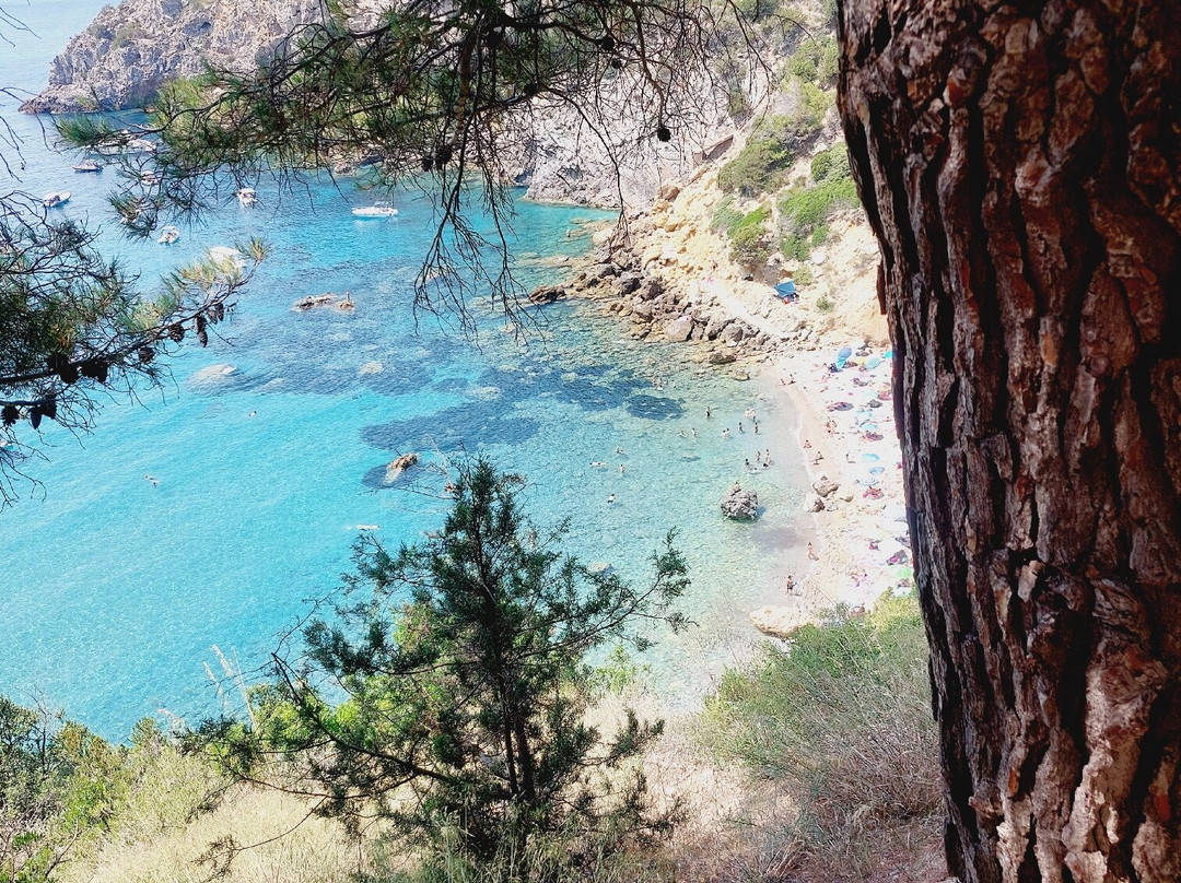 Cala del Gesso-圣托斯特凡诺港必去景点