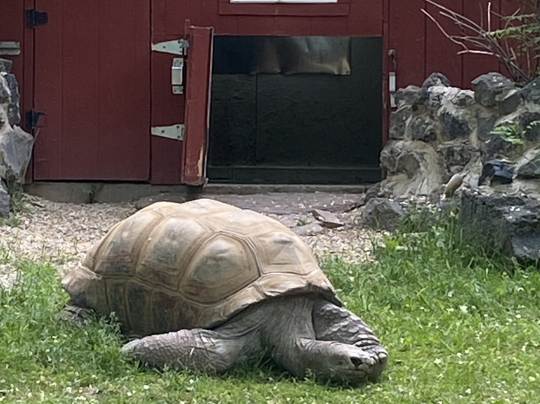 Idaho Falls Zoo-爱达荷福尔斯必去景点