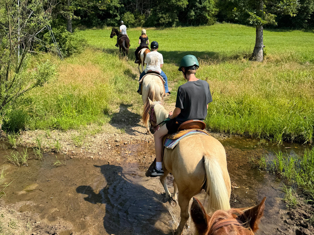 Lake of the Ozarks Trail Rides