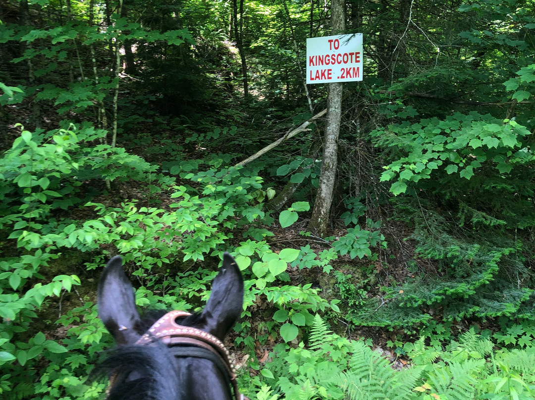South Algonquin Trails-Harcourt必去景点