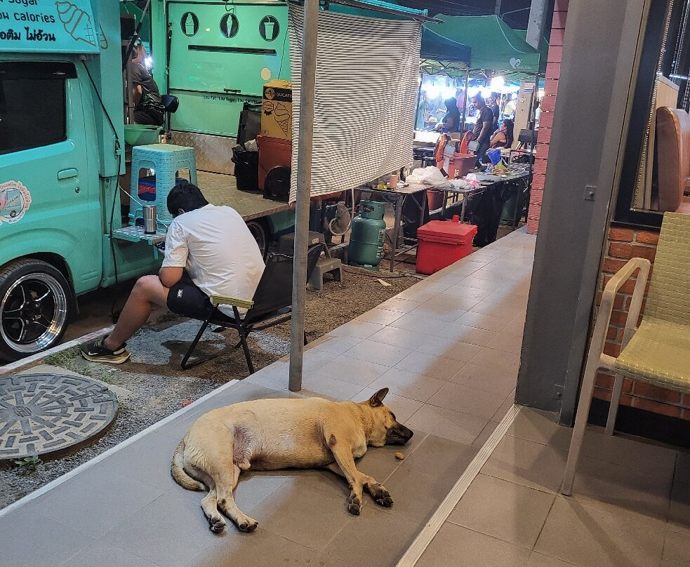 Chaweng Night Market-查汶海滩必去景点