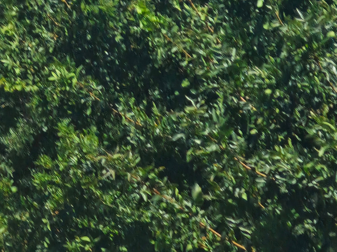 Porfyris Hotel主图