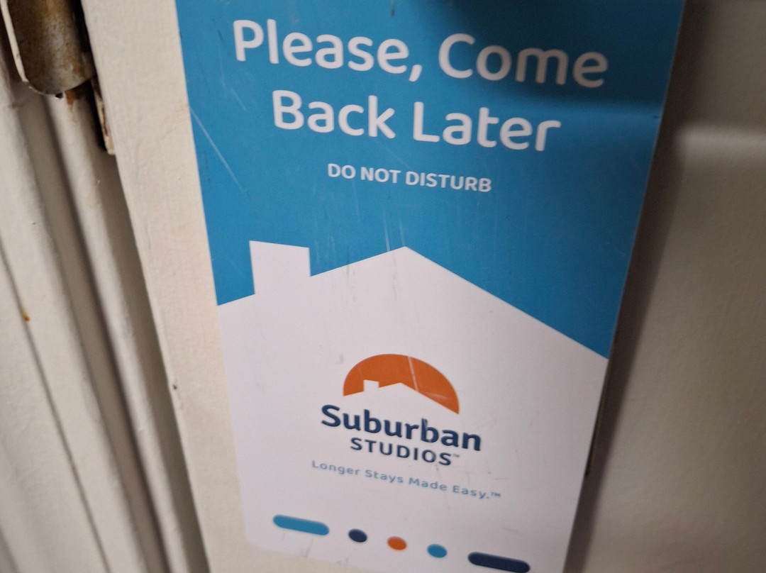 Suburban Studio主图