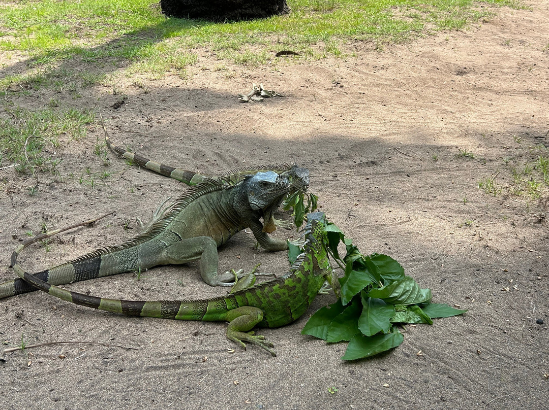 La Ventanilla-La Ventanilla必去景点