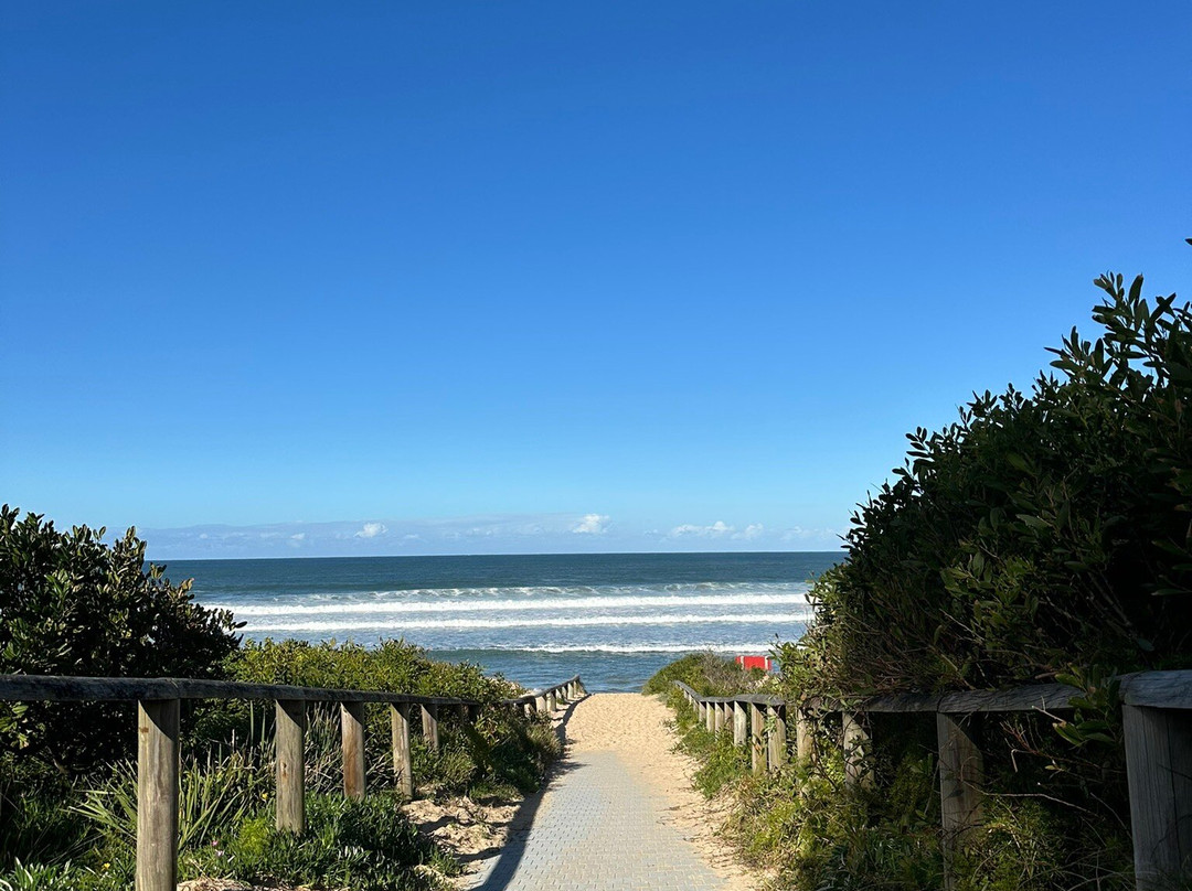 哈勃德海滩-悉尼必去景点