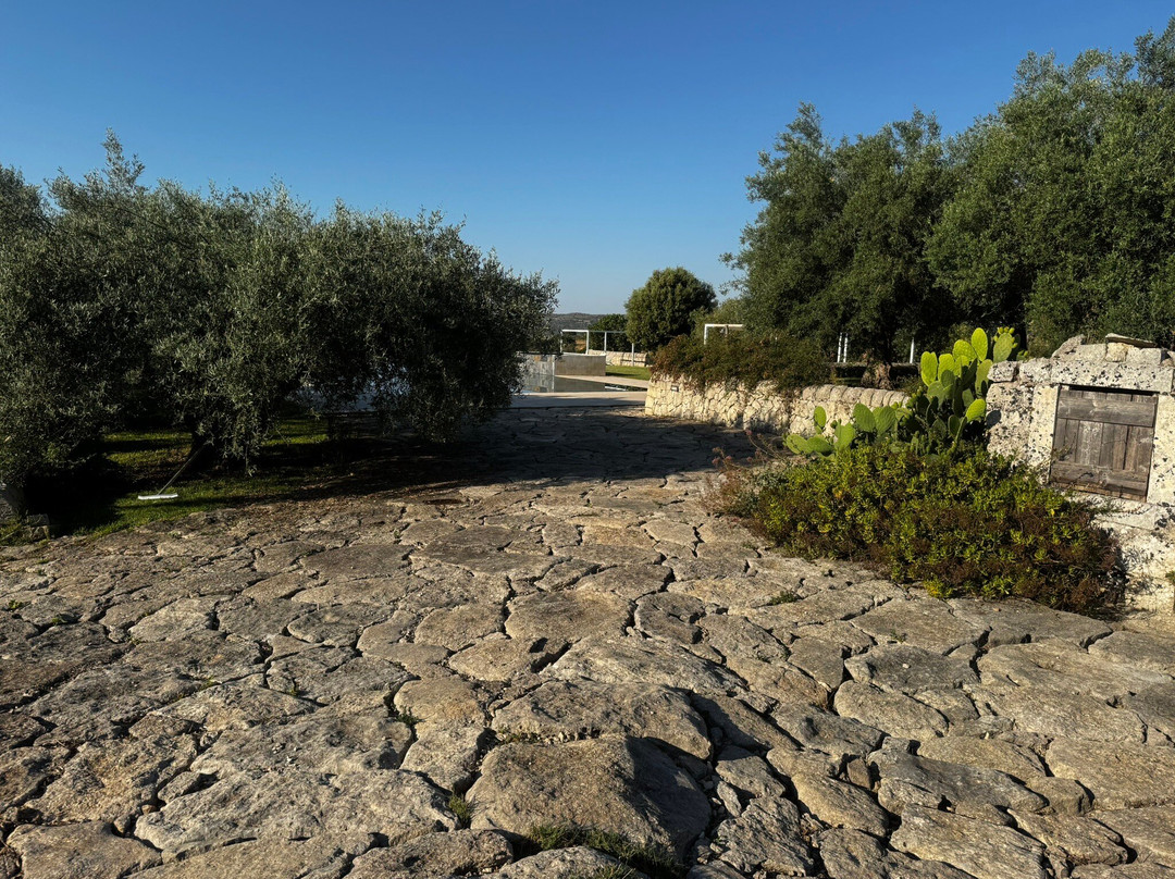 Agriturismo La Mela di Venere主图