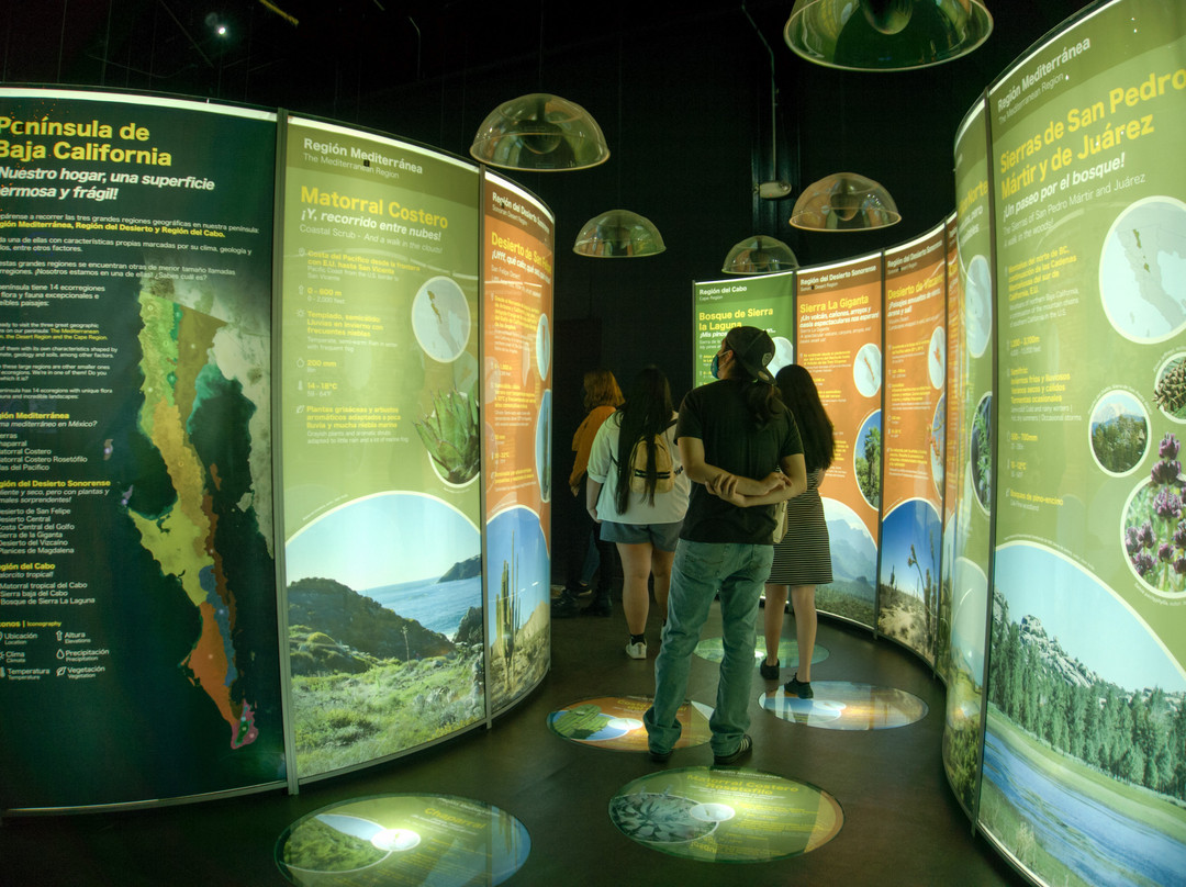 Caracol-恩塞纳达必去景点