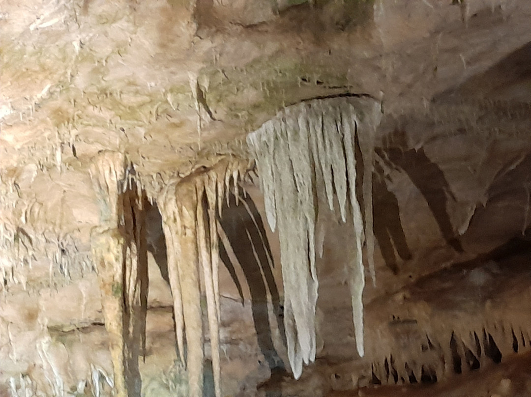 Bärenhöhle-Sonnenbuehl必去景点