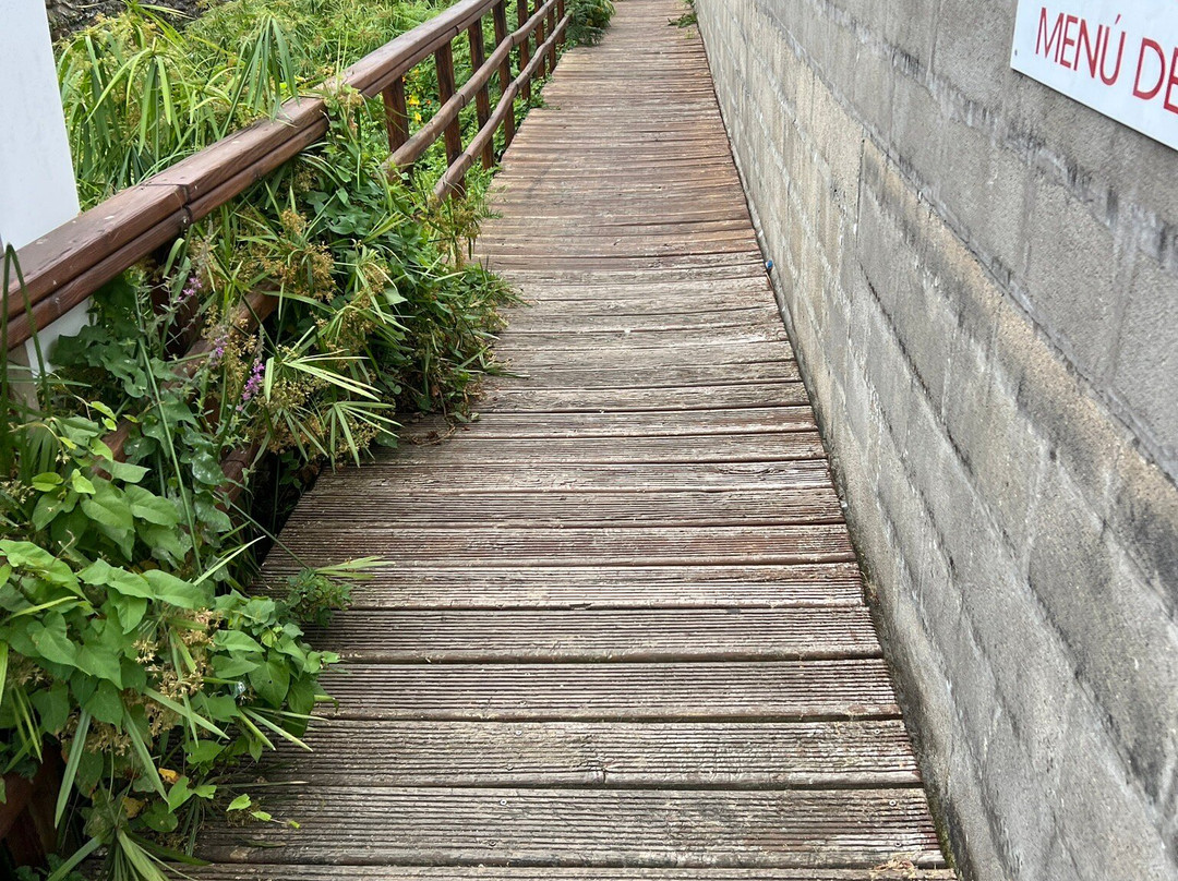 Senda fluvial del rio Baina-Baiona必去景点