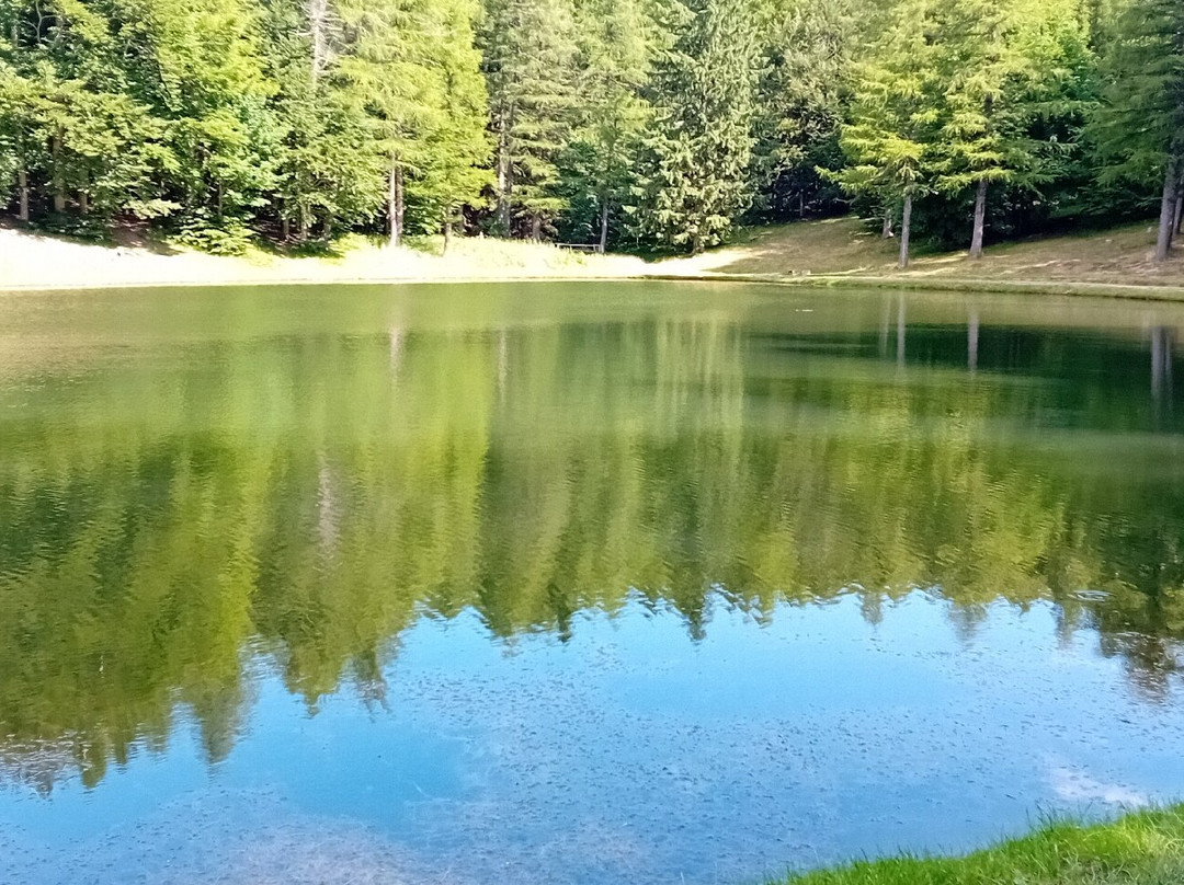 Il Lago della Ninfa-塞斯托拉必去景点