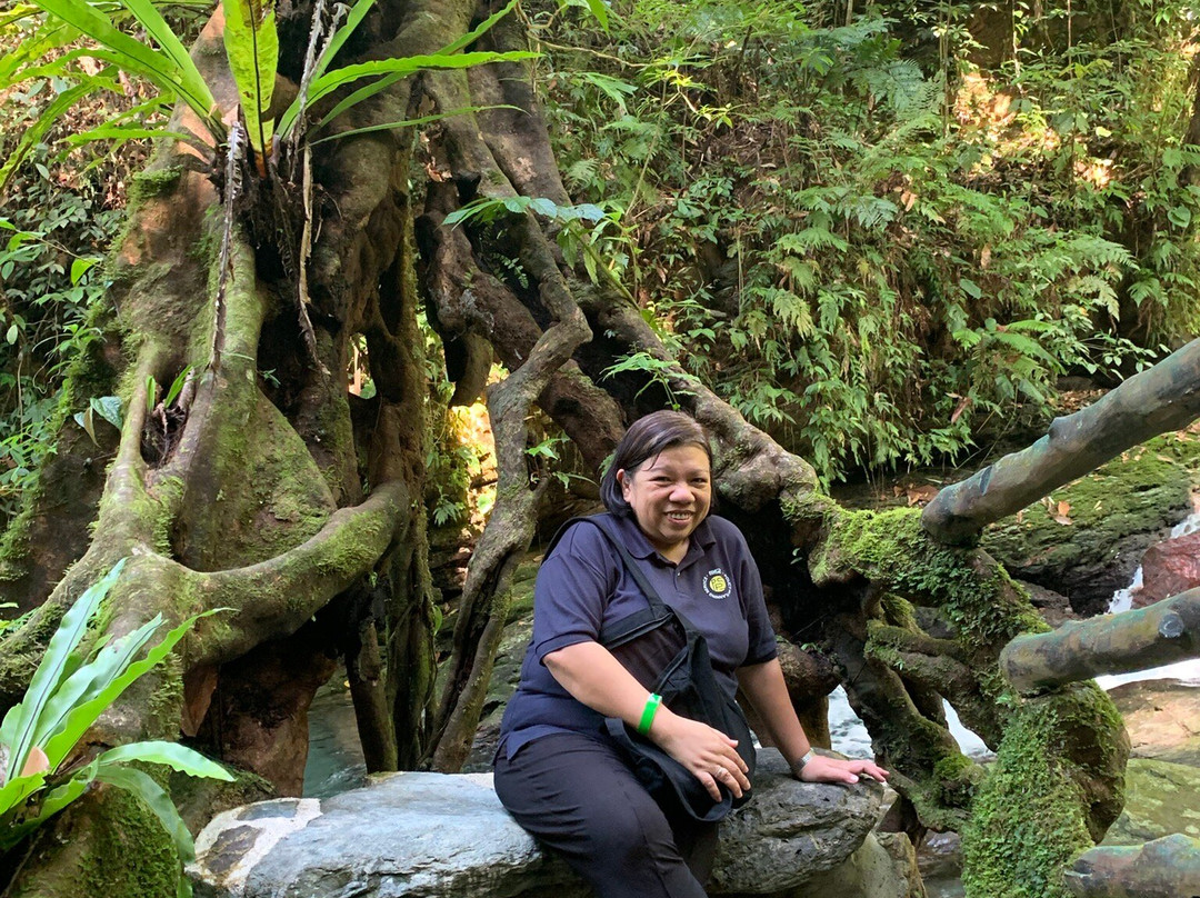 Infinity Farm-Baco必去景点