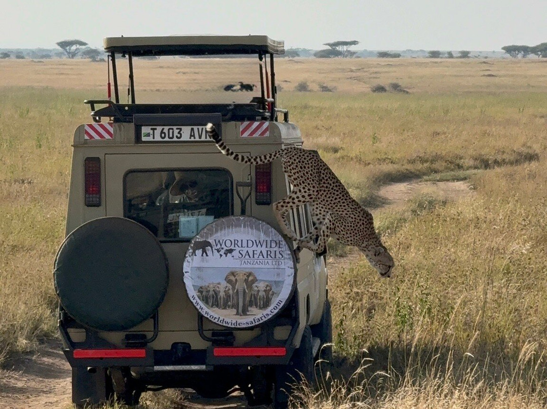 Worldwide Safaris Tanzania-阿鲁沙必去景点